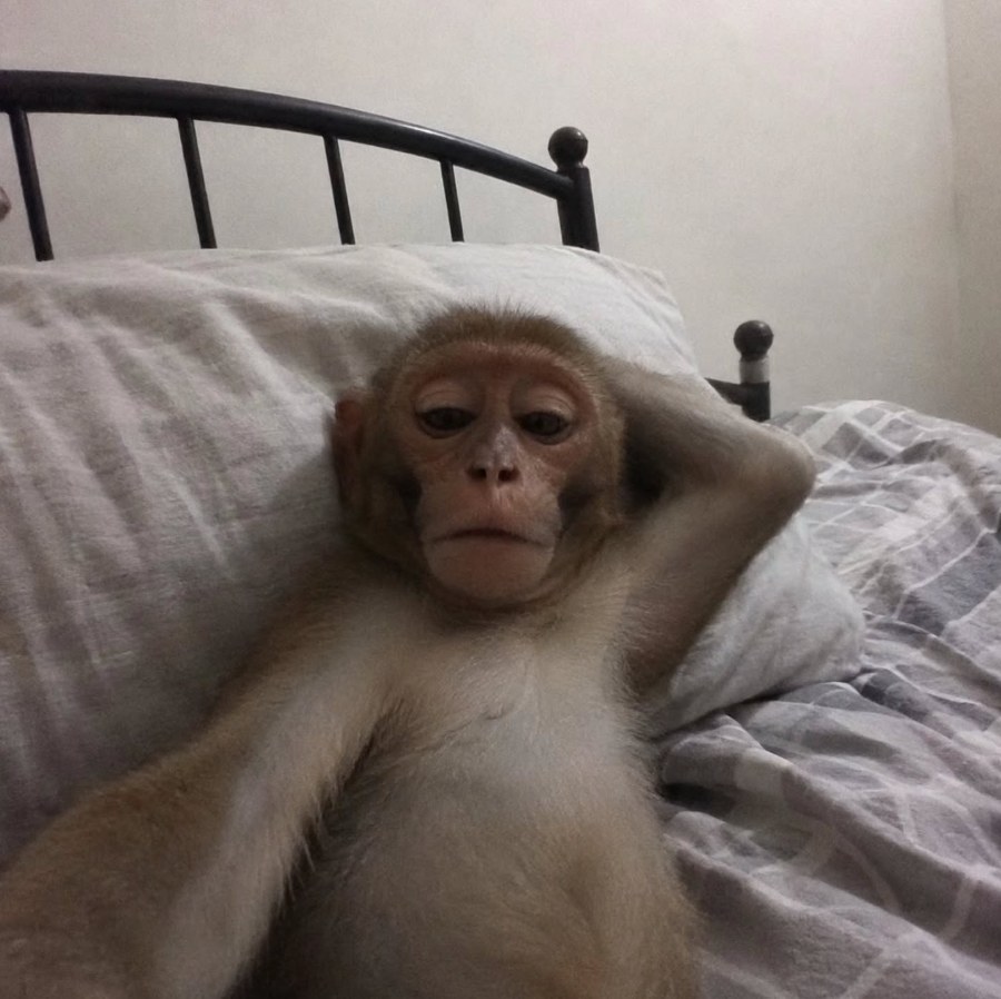 Arthur lying in bed