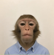 Blue shirt Arthur