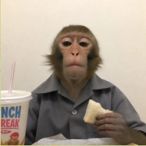 Lunch Arthur