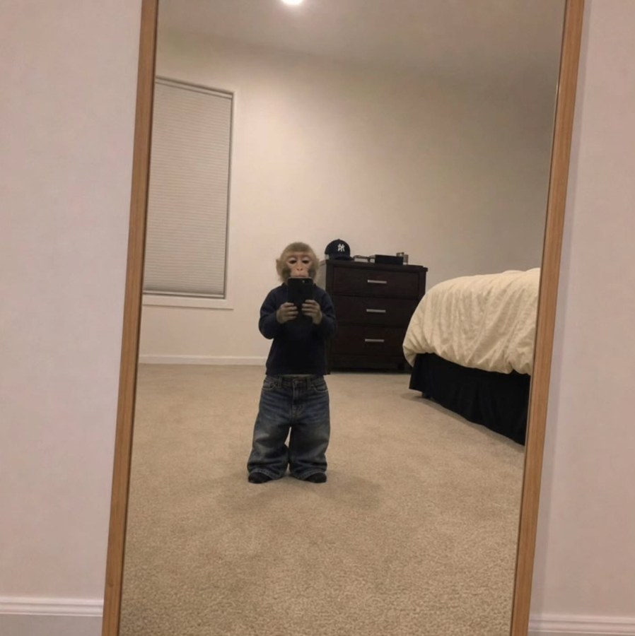 Arthur taking a mirror selfie